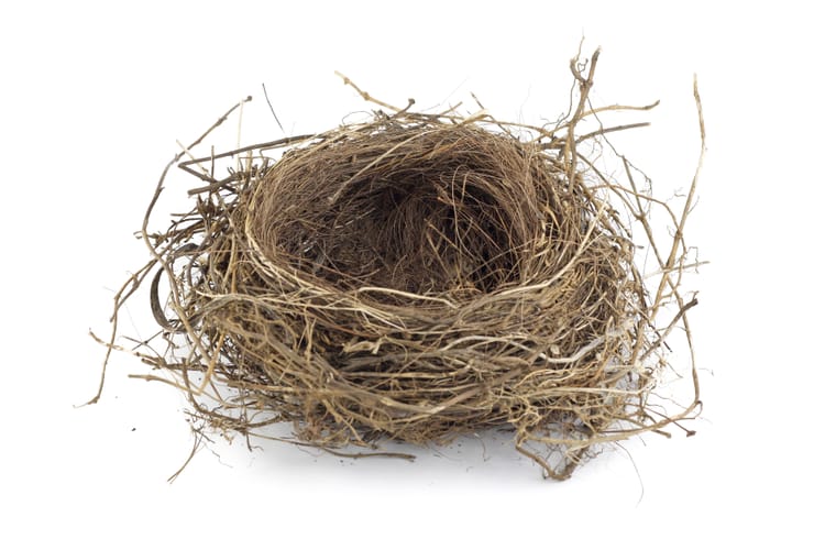 an empty bird nest, made of up plant fibers
