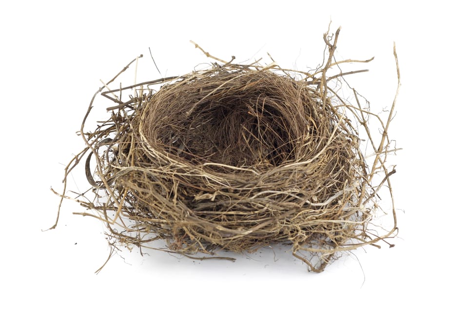 an empty bird nest, made of up plant fibers